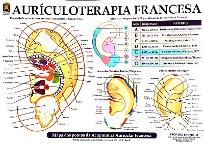 Auriculoterapia Francesa (Bloco 1)